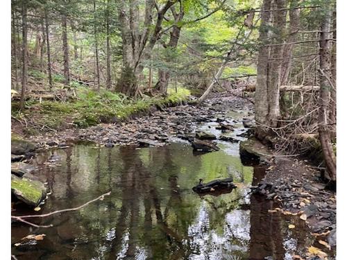 Ainslie Glen Road, Ainslie Glen, NS 