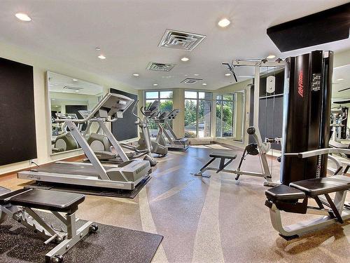 Salle d'exercice - 105-201 Ch. De La Pointe-Sud, Montréal (Verdun/Île-Des-Soeurs), QC - Indoor Photo Showing Gym Room