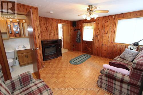 90 Ottawa Street E, Havelock-Belmont-Methuen (Havelock), ON - Indoor Photo Showing Living Room With Fireplace