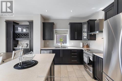 118 Painter Terrace, Hamilton, ON - Indoor Photo Showing Kitchen With Double Sink With Upgraded Kitchen