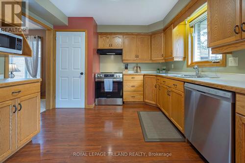 10 Timberlane Crescent, St. Thomas, ON - Indoor Photo Showing Kitchen With Double Sink