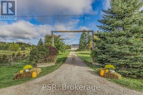 426121 25 Sideroad, Mono, ON - Outdoor With View