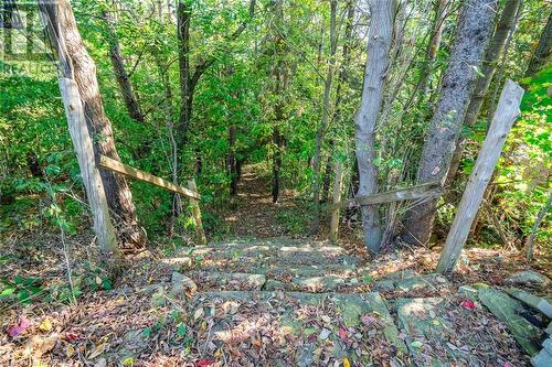 stairs down to the forest - 53 7Th Street, Hanover, ON - Outdoor