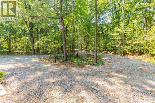 10342 Beach O' Pines Road, Lambton Shores (Grand Bend), ON - Outdoor With View