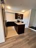 1703 Dance Court, Milton, ON  - Indoor Photo Showing Kitchen 