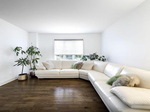 Living room - 14 Rue Adélard-Perreault, Mercier, QC - Indoor Photo Showing Living Room