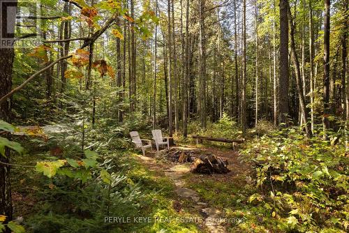 57 Stephenson Road 2 Road W, Huntsville, ON - Outdoor