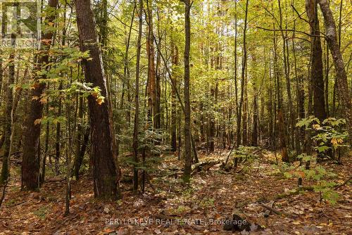 57 Stephenson Road 2 Road W, Huntsville, ON - Outdoor With View