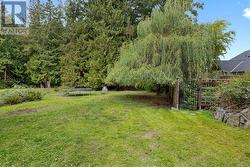 View of yard featuring a trampoline - 