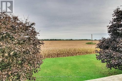 31395 Talbot Line, Dutton/Dunwich (Iona), ON - Outdoor With View