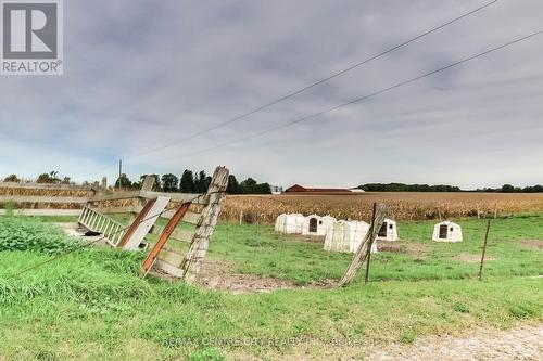 31395 Talbot Line, Dutton/Dunwich (Iona), ON - Outdoor With View