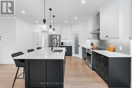 104 Foxborough Place, Thames Centre (Thorndale), ON - Indoor Photo Showing Kitchen With Upgraded Kitchen