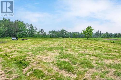 129 Old Post Road, Petitcodiac, NB - Outdoor With View