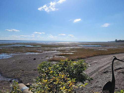 Vue sur l'eau - 1067 Rue Vauquelin, Neuville, QC - Outdoor With View