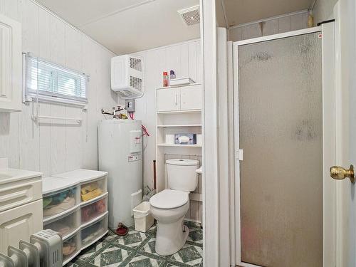 Salle de bains - 1380 Av. Cairo E., Chertsey, QC - Indoor Photo Showing Bathroom