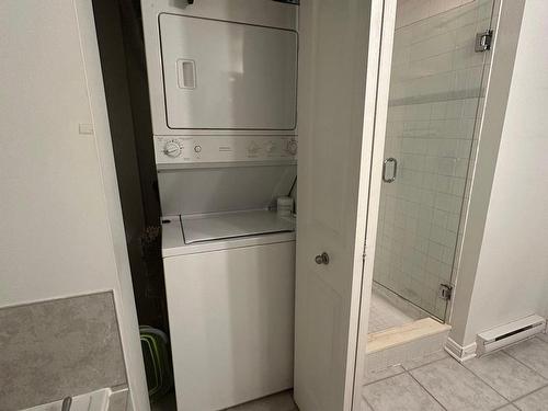 Bathroom - 1503-1280 Rue St-Jacques, Montréal (Ville-Marie), QC - Indoor Photo Showing Laundry Room