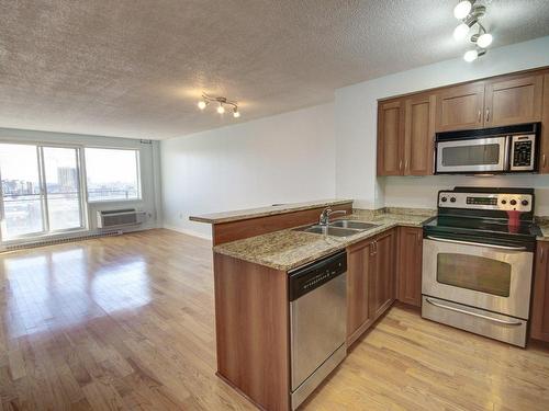 Living room - 1503-1280 Rue St-Jacques, Montréal (Ville-Marie), QC - Indoor Photo Showing Kitchen With Double Sink