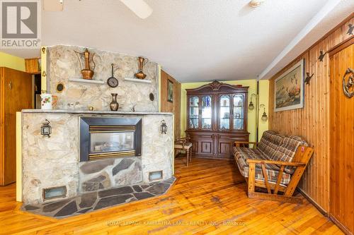 31 Jubbs Shore Road, Kawartha Lakes, ON - Indoor Photo Showing Living Room With Fireplace