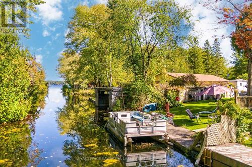 31 Jubbs Shore Road, Kawartha Lakes, ON - Outdoor