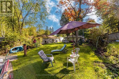 31 Jubbs Shore Road, Kawartha Lakes, ON - Outdoor