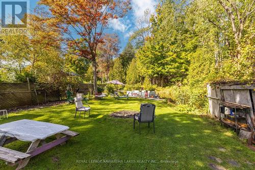 31 Jubbs Shore Road, Kawartha Lakes, ON - Outdoor With Backyard