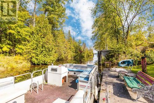 31 Jubbs Shore Road, Kawartha Lakes, ON - Outdoor