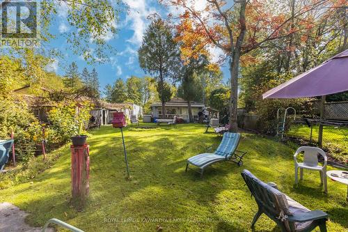 31 Jubbs Shore Road, Kawartha Lakes, ON - Outdoor