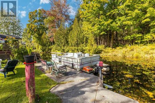 31 Jubbs Shore Road, Kawartha Lakes, ON - Outdoor