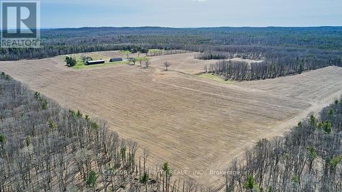 4384 Boundary Road, Kawartha Lakes, ON 