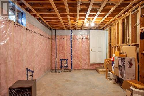 43 Cockburn Street, Perth, ON - Indoor Photo Showing Basement