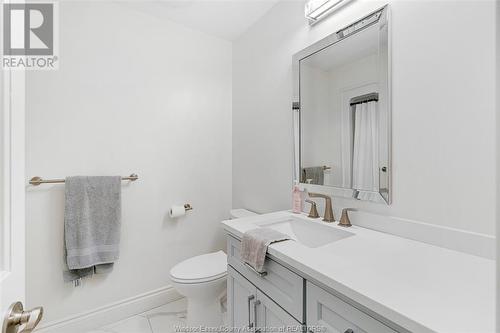 2850 Mangin Crescent, Windsor, ON - Indoor Photo Showing Bathroom