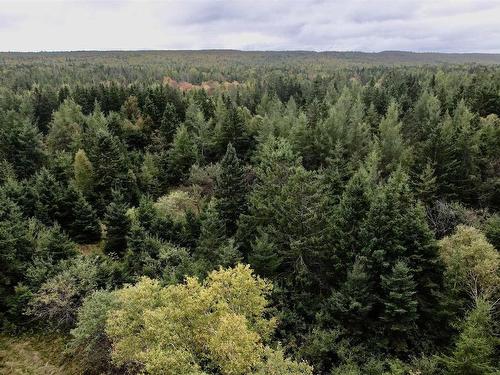 8Lots+80Acres Beechmont Road, Beechmont, NS 