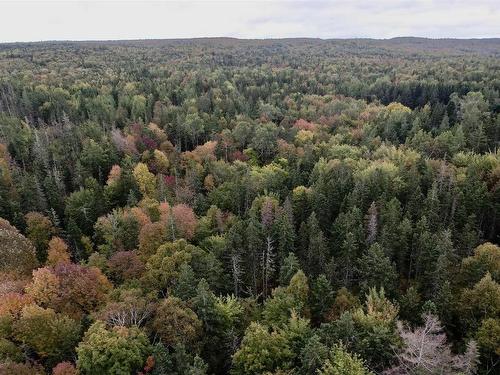 8Lots+80Acres Beechmont Road, Beechmont, NS 