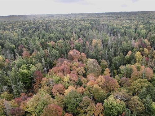 8Lots+80Acres Beechmont Road, Beechmont, NS 