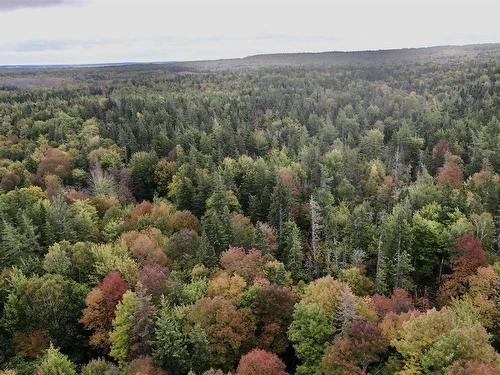 8Lots+80Acres Beechmont Road, Beechmont, NS 