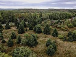 8Lots+80Acres Beechmont Road  Beechmont, NS B2A 4K3