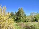 8Lots+80Acres Beechmont Road, Beechmont, NS 