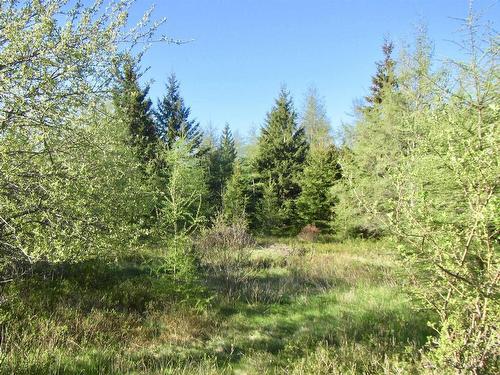 8Lots+80Acres Beechmont Road, Beechmont, NS 