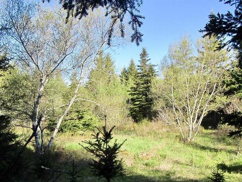 8Lots+80Acres Beechmont Road, Beechmont, NS 