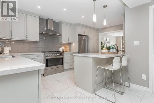 224 Livingstone Street W, Barrie, ON - Indoor Photo Showing Kitchen With Stainless Steel Kitchen With Upgraded Kitchen