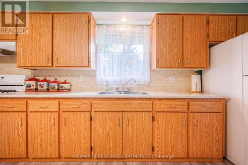 14 Lewis Crescent, Kitchener, ON - Indoor Photo Showing Kitchen With Double Sink