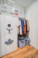 Walk-in Closet - 