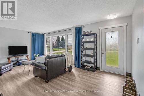 49 Weldon Road, Kawartha Lakes (Lindsay), ON - Indoor Photo Showing Living Room