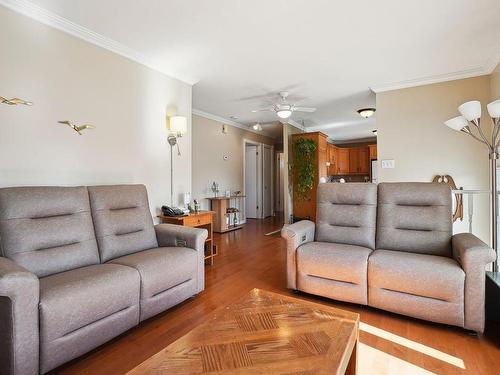 Living room - 5330 Rue Berthier, Longueuil (Saint-Hubert), QC - Indoor Photo Showing Living Room