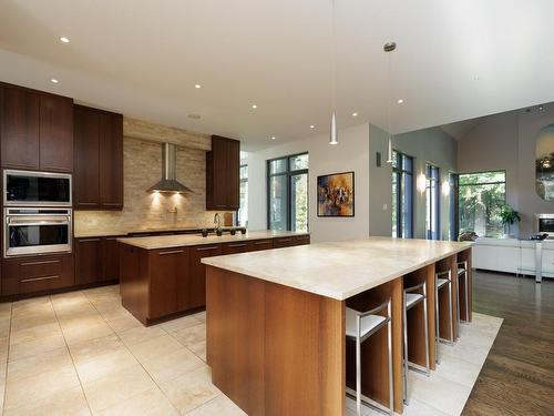 Kitchen - 103 Rue D'Oxford, Hudson, QC - Indoor Photo Showing Kitchen With Upgraded Kitchen