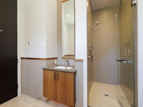 Ensuite bathroom - 103 Rue D'Oxford, Hudson, QC - Indoor Photo Showing Bathroom