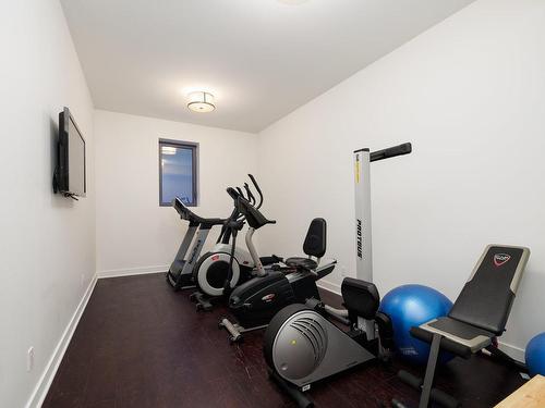 Exercise room - 103 Rue D'Oxford, Hudson, QC - Indoor Photo Showing Gym Room