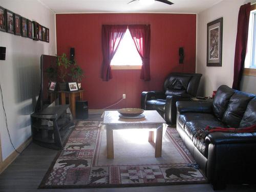 153 Hwy 584, Nakina, ON - Indoor Photo Showing Living Room