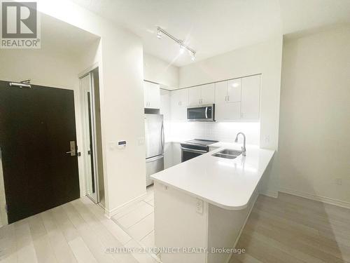 1602 - 39 Annie Craig Drive, Toronto, ON - Indoor Photo Showing Kitchen With Double Sink With Upgraded Kitchen