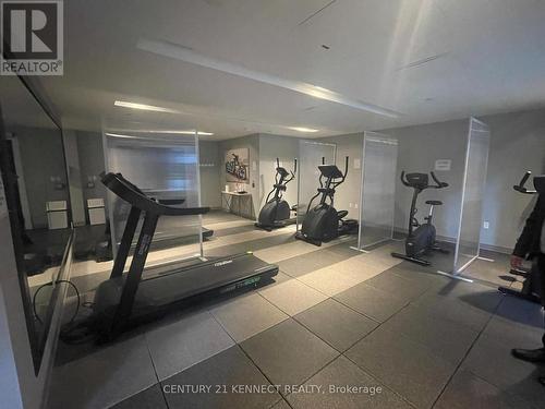 1602 - 39 Annie Craig Drive, Toronto, ON - Indoor Photo Showing Gym Room